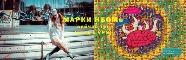 ГАЛЛЮЦИНОГЕННЫЕ ГРИБЫ Алексеевка