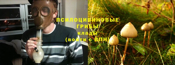 ГАЛЛЮЦИНОГЕННЫЕ ГРИБЫ Алексеевка