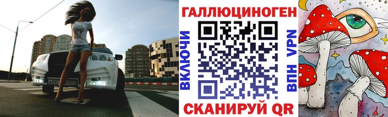Галлюциногенные грибы Psilocybine cubensis  Нерехта 